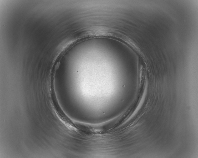 X0000062800438200512221409