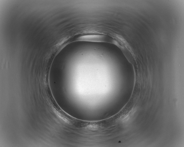X0000062800441200512221409