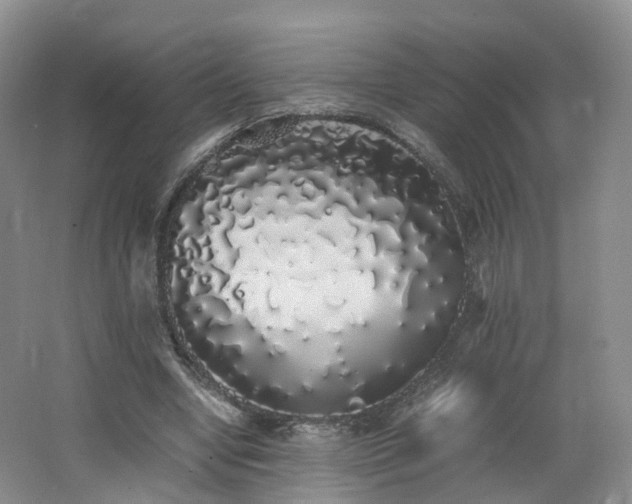 X0000062800442200512221409