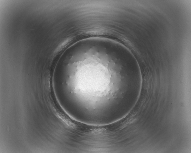 X0000062800446200512221409