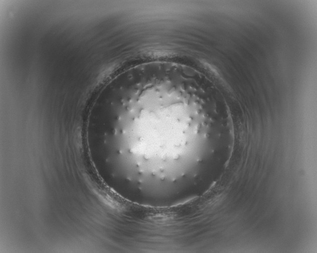 X0000062800447200512221409