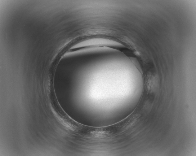 X0000062800448200512221409