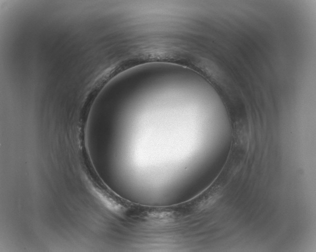 X0000062800450200512221409