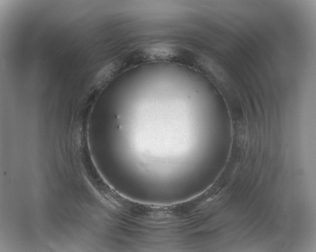 X0000062800451200512221409