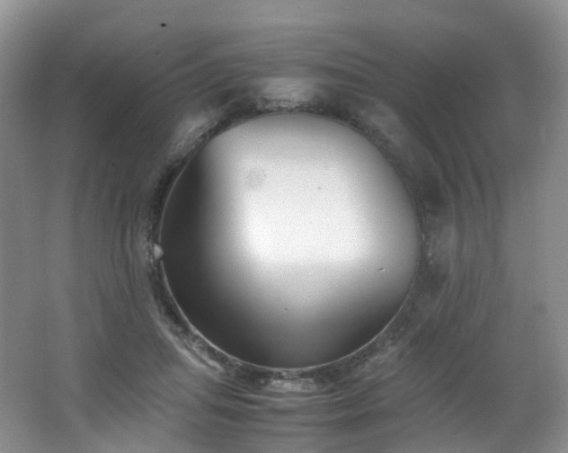 X0000062800455200512221409