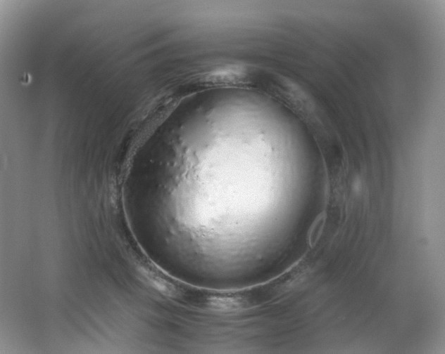 X0000062800457200512221409