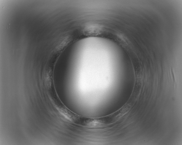 X0000062800460200512221409
