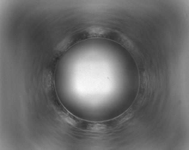 X0000062800463200512221409