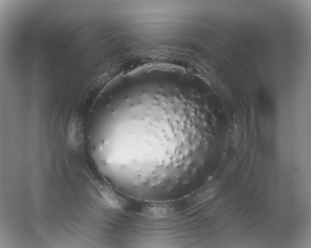 X0000062800466200512221409