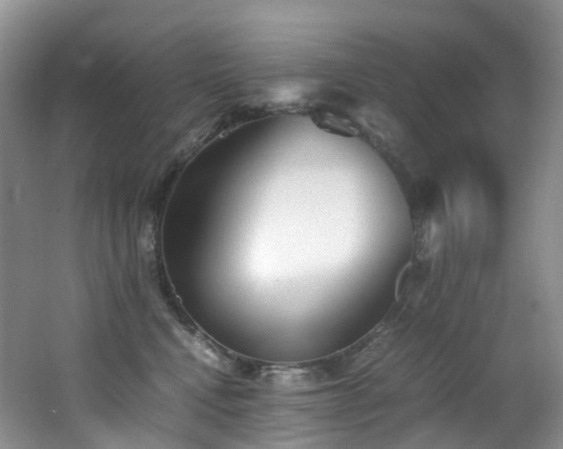 X0000062800472200512221409
