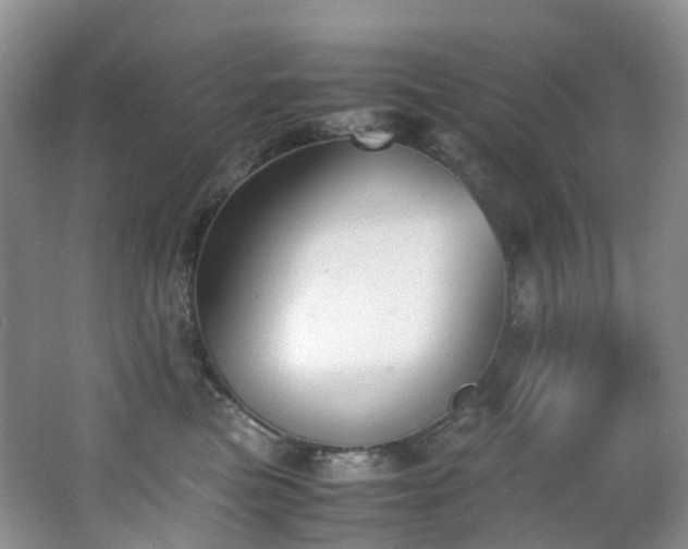X0000062800473200512221409
