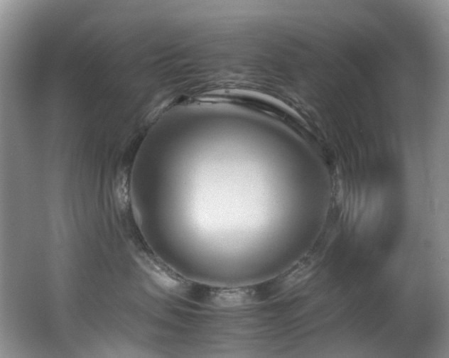 X0000062800479200512221409