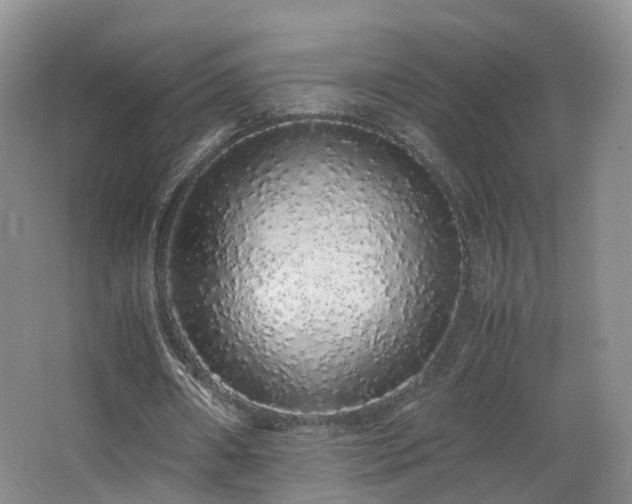X0000062800482200512221408