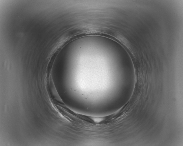 X0000062800485200512221408