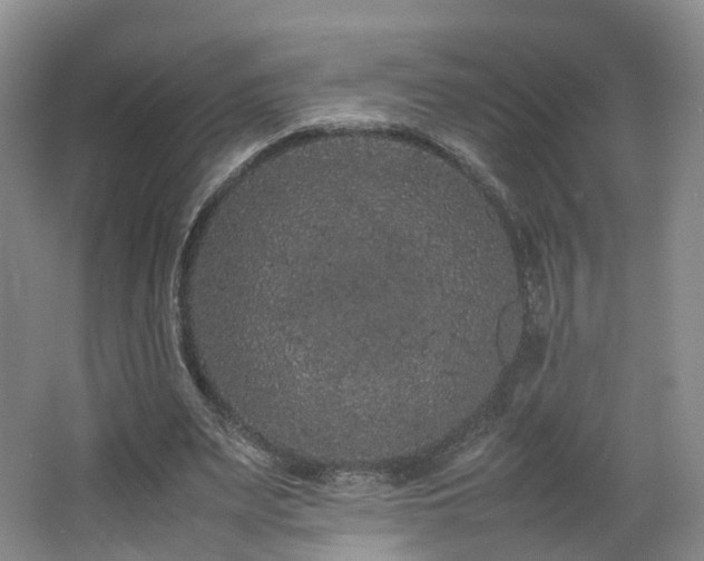 X0000062800487200512221408