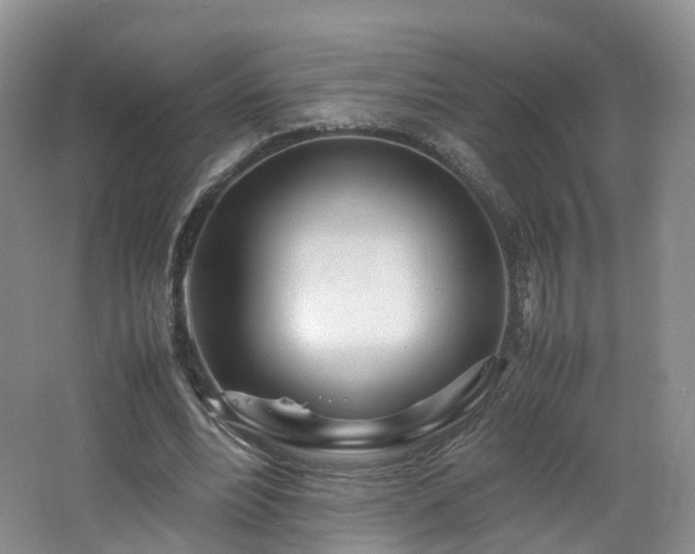 X0000062800488200512221408