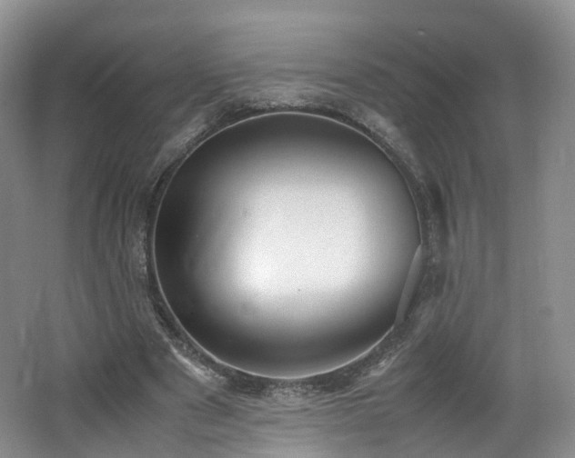 X0000062800489200512221408