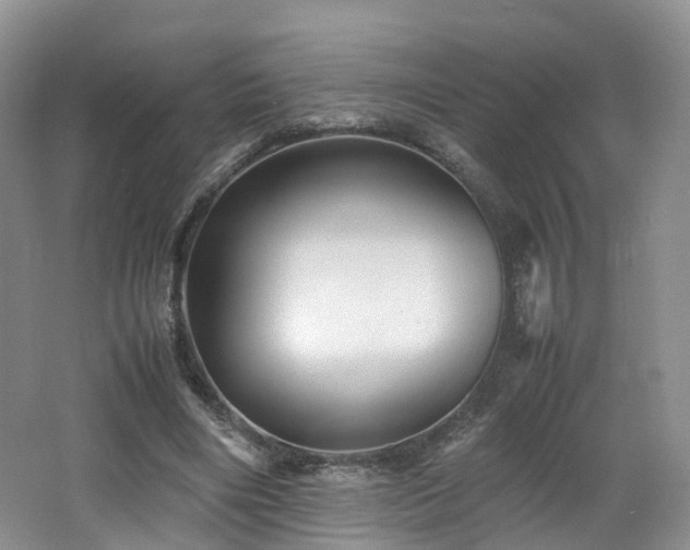 X0000062800490200512221408
