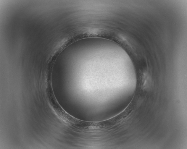 X0000062800496200512221408