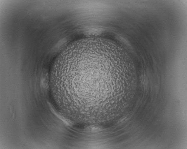 X0000062800498200512221408