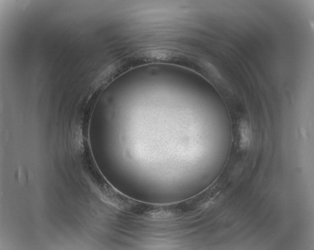 X0000062800500200512221408