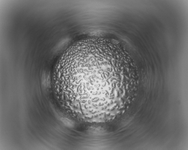 X0000062800502200512221408