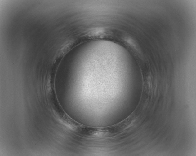 X0000062800504200512221408