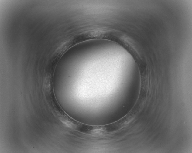 X0000062800505200512221408