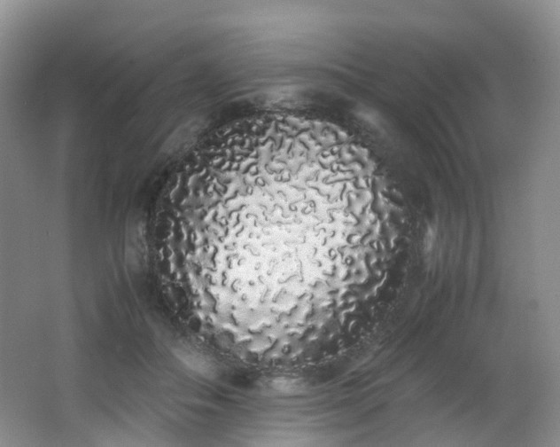 X0000062800506200512221408