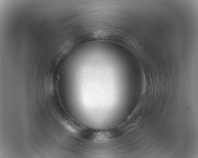 X0000062800508200512221408