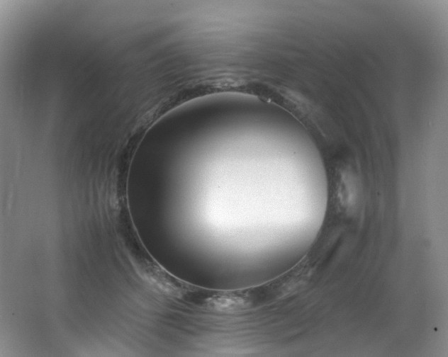 X0000062800512200512221408