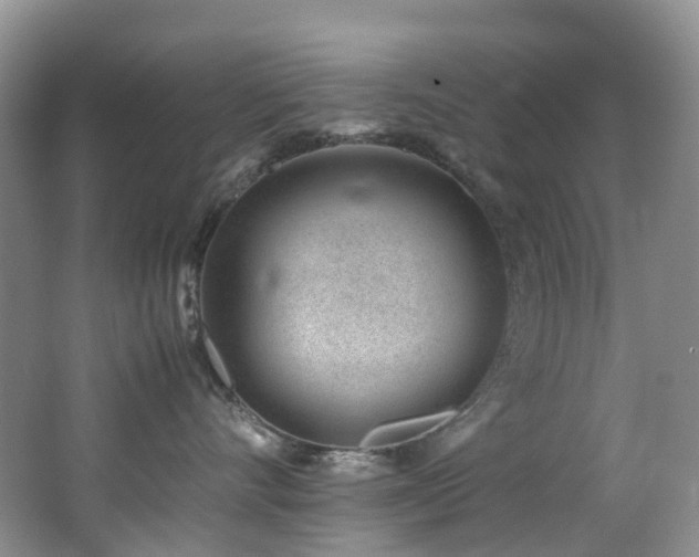 X0000062800528200512221407