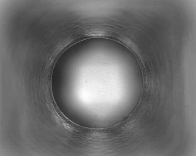 X0000062800529200512221407