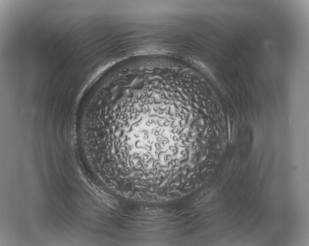 X0000062800531200512221407