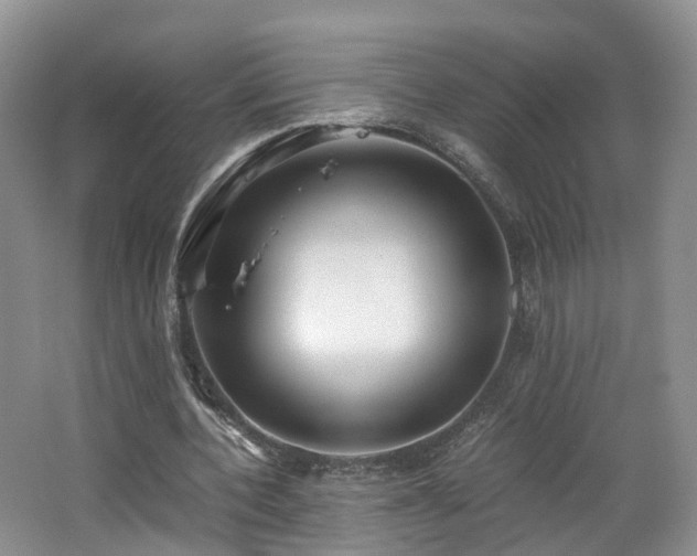 X0000062800532200512221407