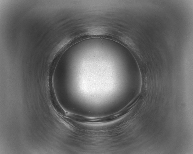X0000062800535200512221407