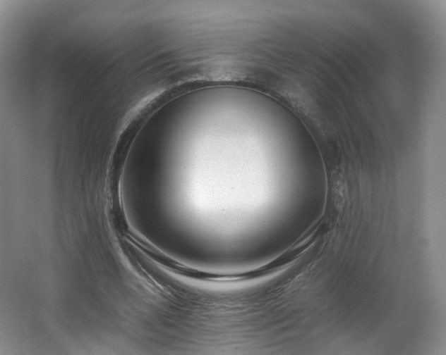 X0000062800536200512221407