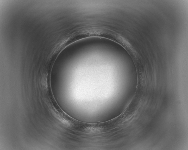 X0000062800537200512221407