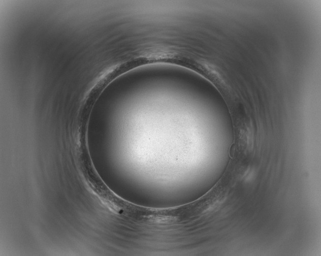 X0000062800539200512221407