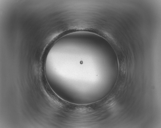 X0000062800540200512221407