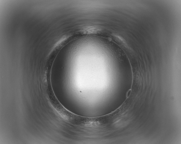 X0000062800543200512221407