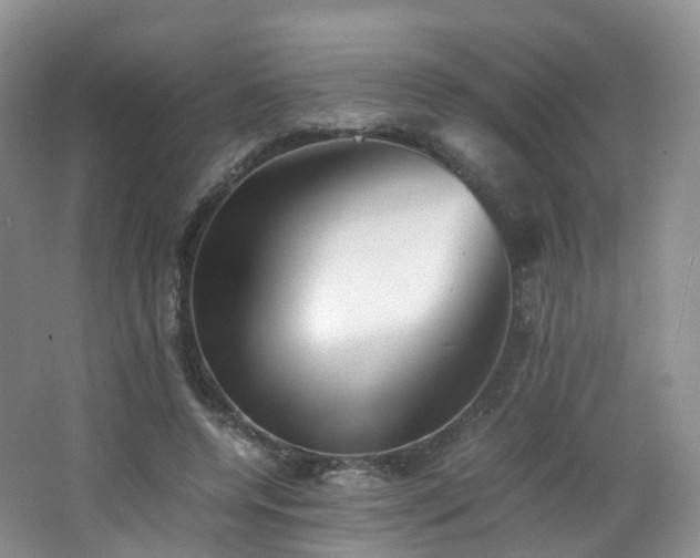 X0000062800544200512221407