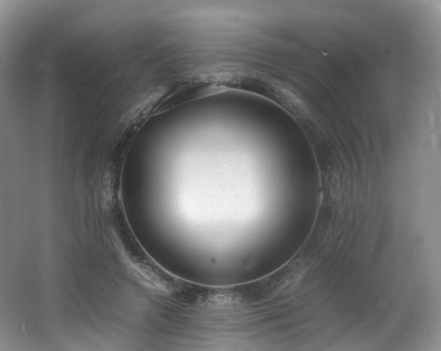 X0000062800546200512221407