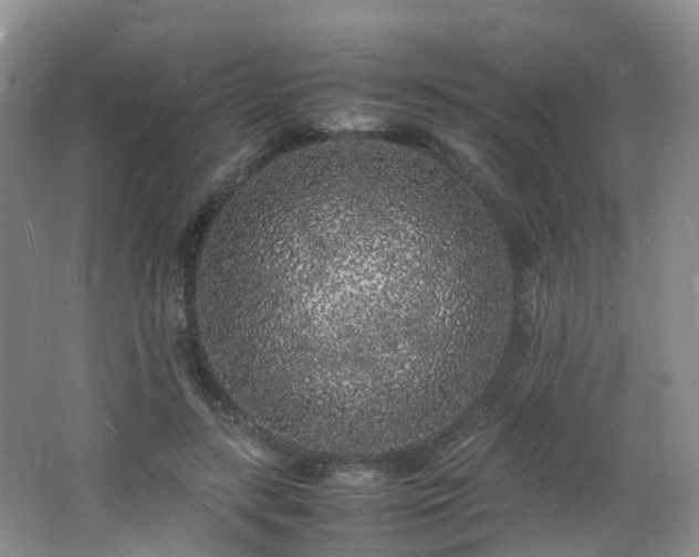 X0000062800547200512221407