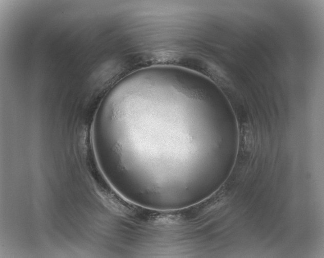 X0000062800550200512221407