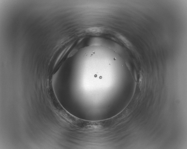 X0000062800552200512221407