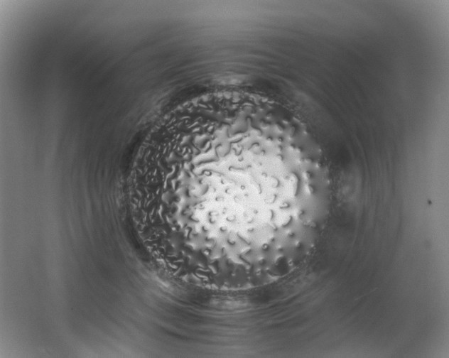 X0000062800559200512221407