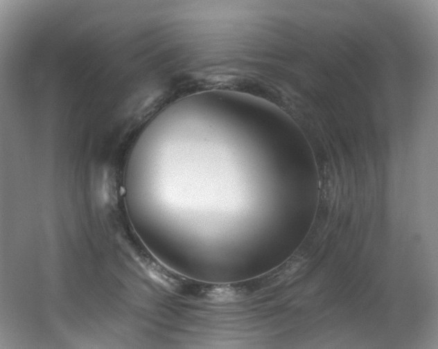 X0000062800562200512221407