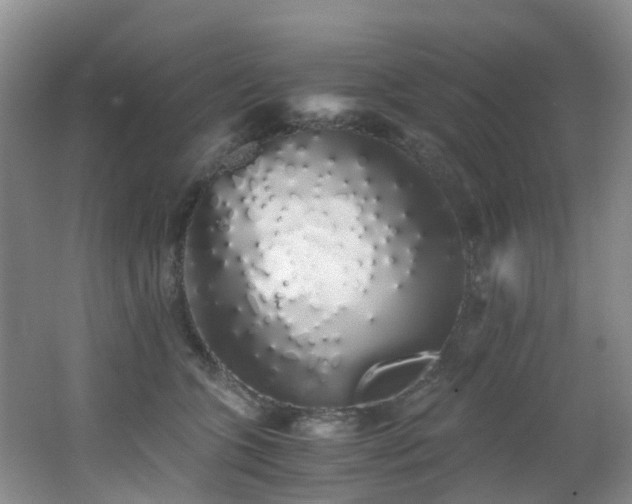 X0000062800563200512221407