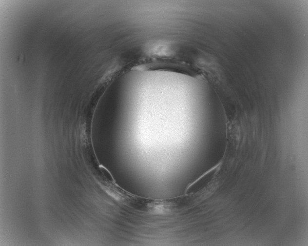 X0000062800564200512221407